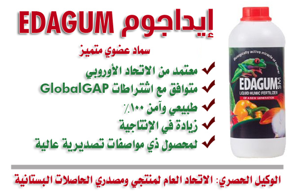 إيداجوم EDAGUM