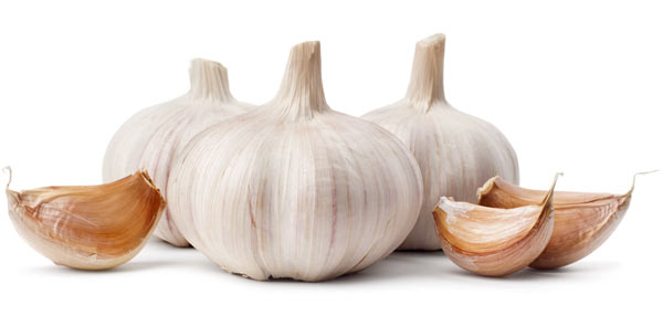 Garlic