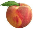 UPEHC Peach