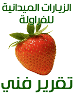 Table Grape