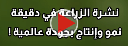 الزراعة في أسبوع - مركز المعلومات ودعم اتخاذ القرار برئاسة مجلس الوزراء