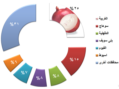 Onion Production